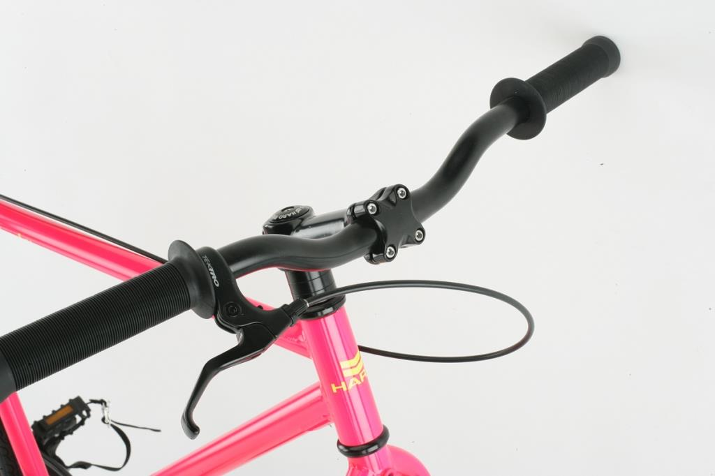 2012 Haro Projekt