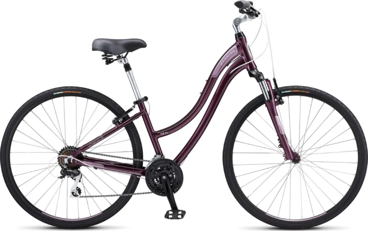 2012 Schwinn Voyageur 24