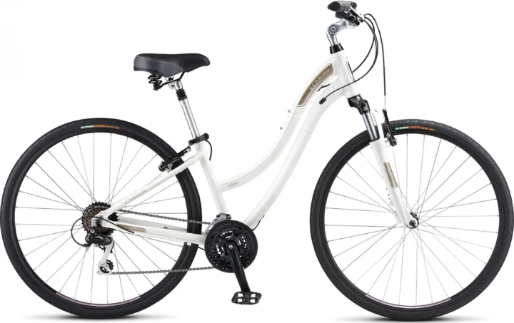 2012 Schwinn Voyageur 24