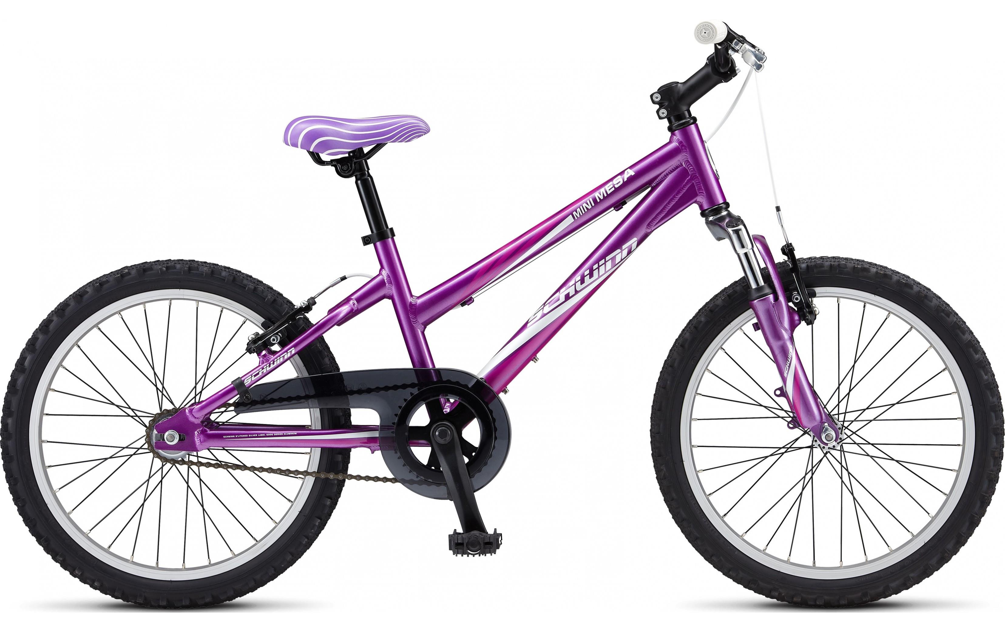 2012 Schwinn Mini Mesa 1-speed