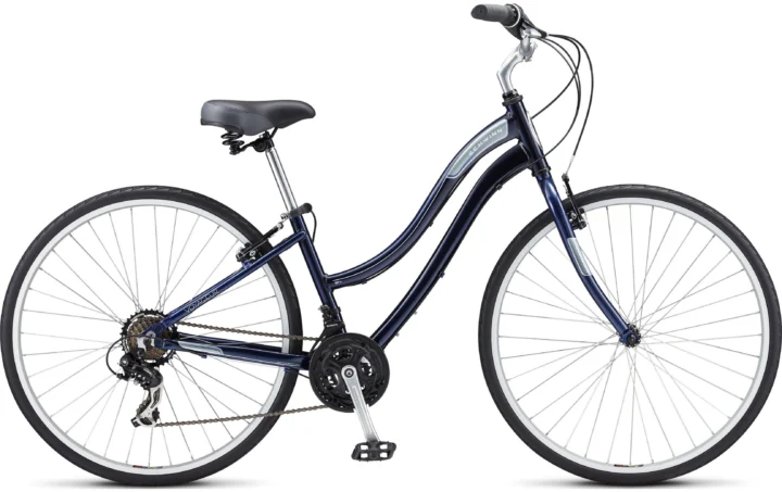 2012 Schwinn Voyageur R21