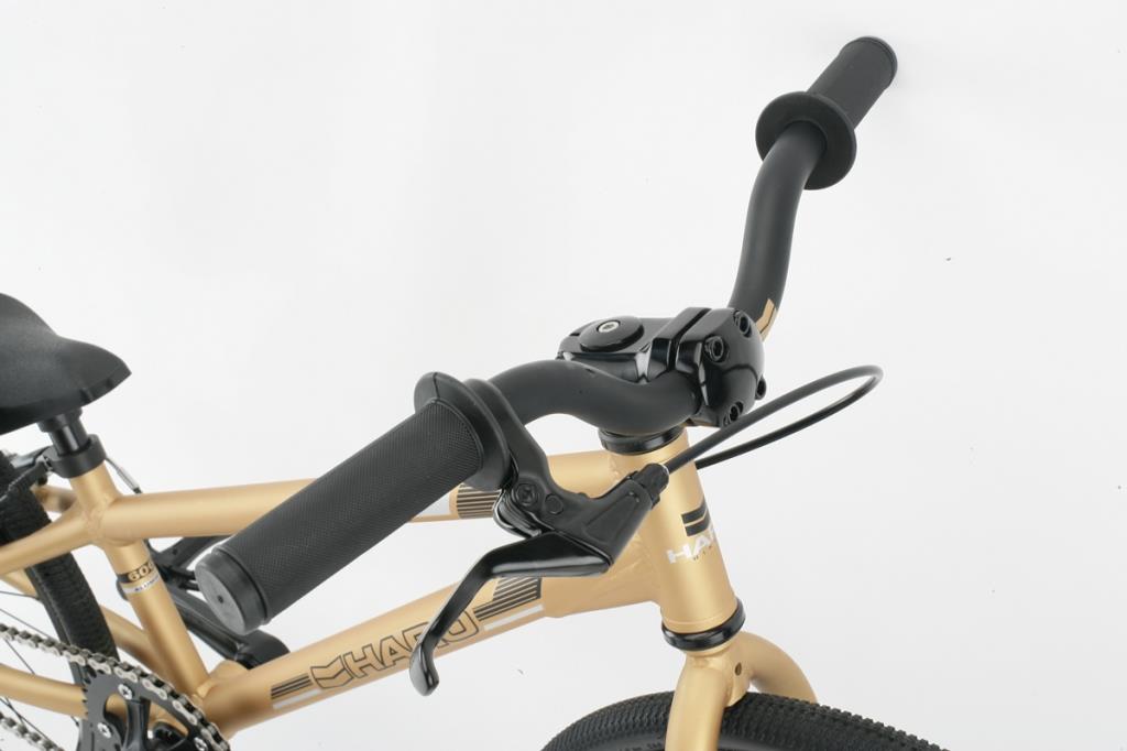 2012 Haro Mini