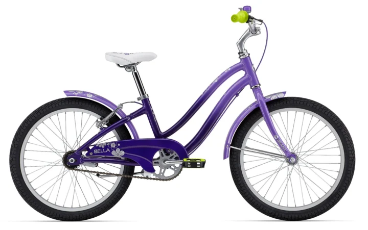 2013 Giant Bella