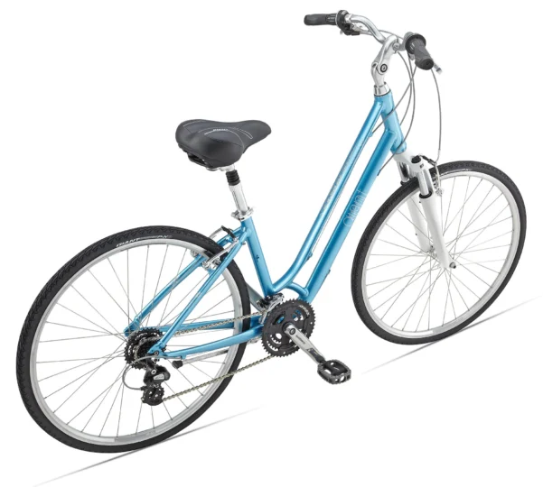 2013 Giant Cypress DX W