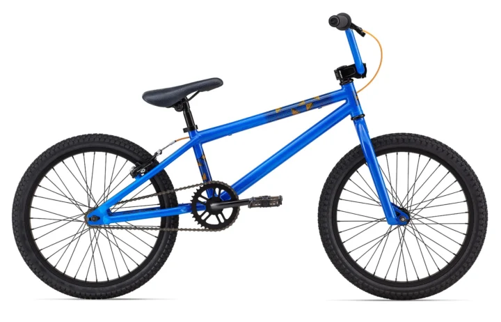 2013 Giant GFR F/W