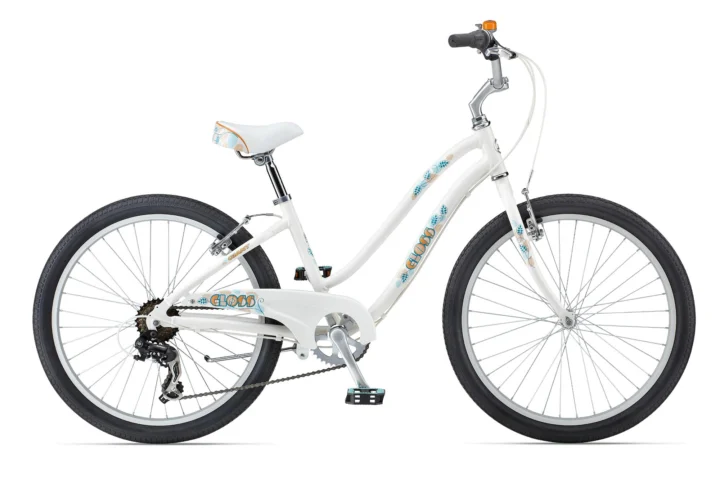 2013 Giant Gloss