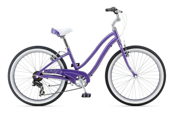 2013 Giant Gloss