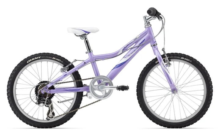 2013 Giant Revel Jr. Girls 20