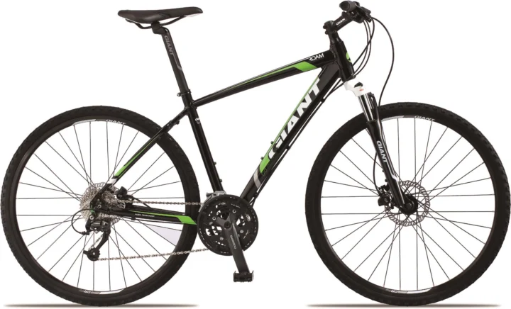 2013 Giant Roam 2