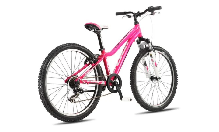 2013 Fuji Dynamite 24 G