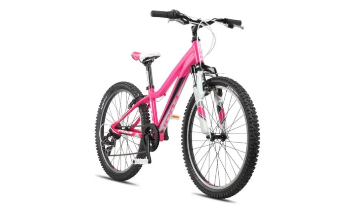 2013 Fuji Dynamite 24 G