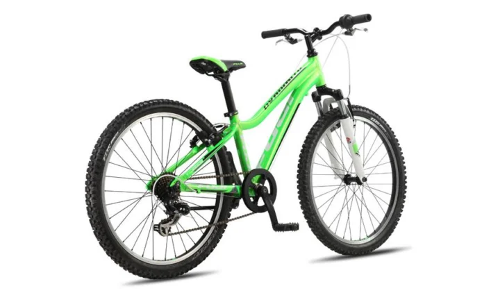 2013 Fuji Dynamite 24 B
