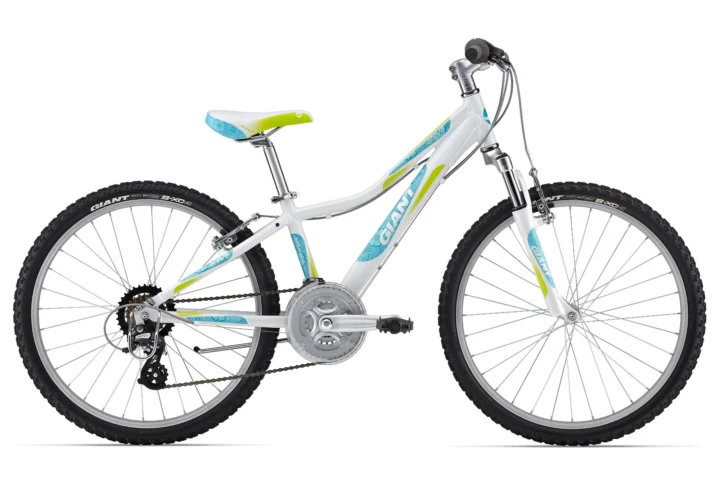 2013 Giant Areva 24