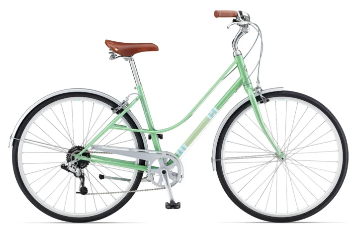 2013 Giant Via 2 W