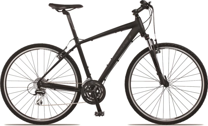 2013 Giant Roam 3