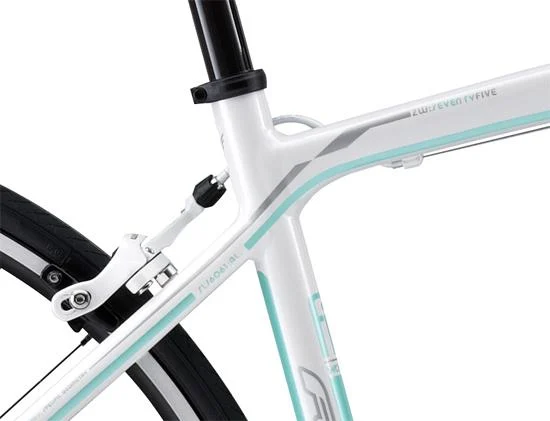 2013 Felt ZW75