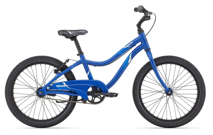 2013 Giant Moda