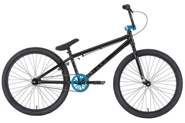 2013 Haro 124