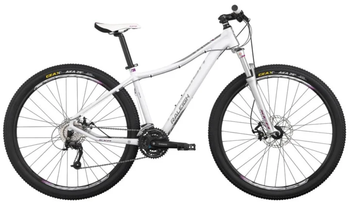 2013 Raleigh Eva 29