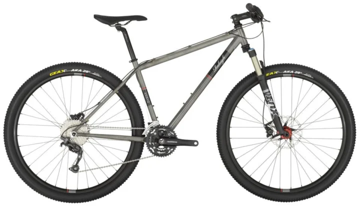 2013 Raleigh Xxix+G