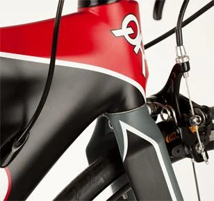 2013 Quintana Roo Seduza