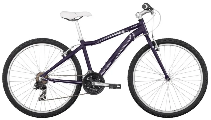 2013 Raleigh Eva 2.0