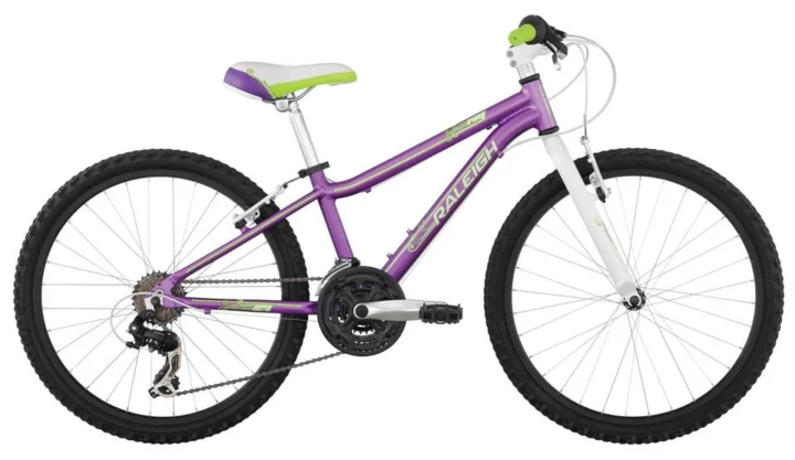 2013 Raleigh Ivy