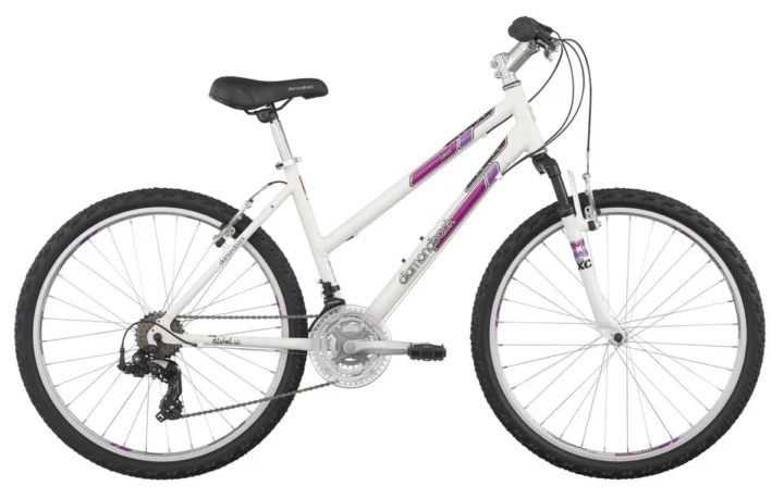 2013 Diamondback Lustre 1