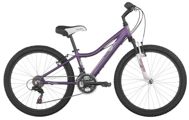 2013 Diamondback Lustre 24