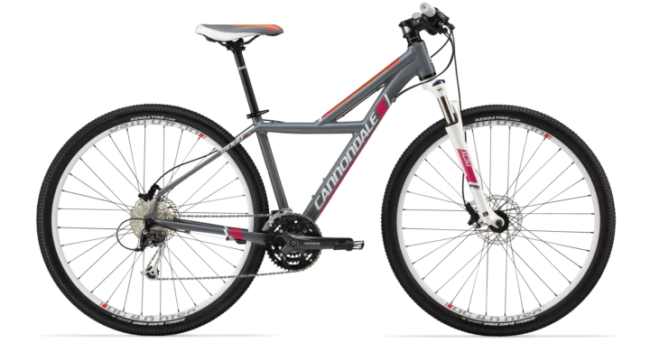 2014 Cannondale Tango SL 29 4