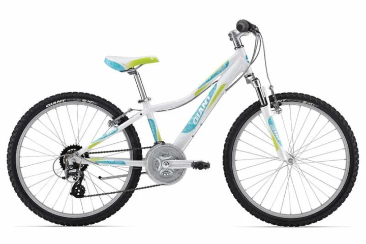 2014 Giant Areva 24