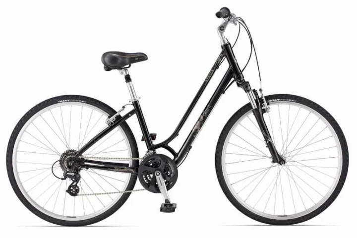 2014 Giant Cypress DX W