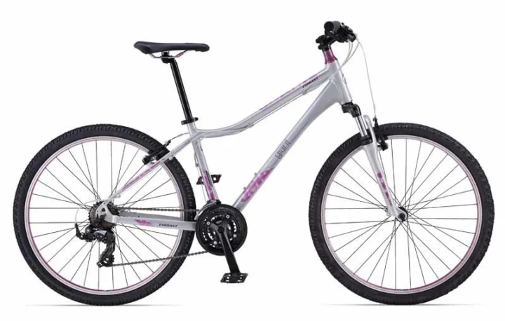 2014 Giant Enchant 2