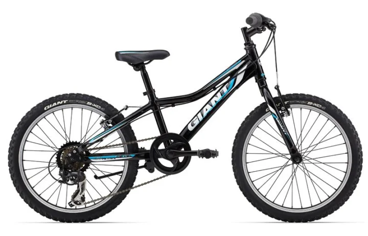 2014 Giant Revel Jr 20 Boys