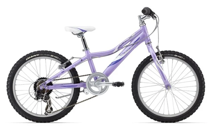 2014 Giant Revel Jr 20 Girls