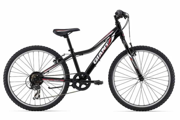 2014 Giant Revel Jr 24 Boys
