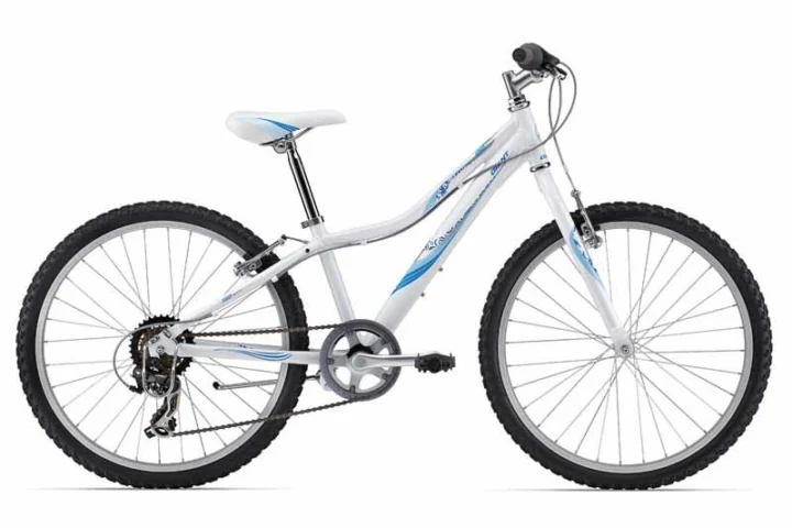 2014 Giant Revel Jr 24 Girls