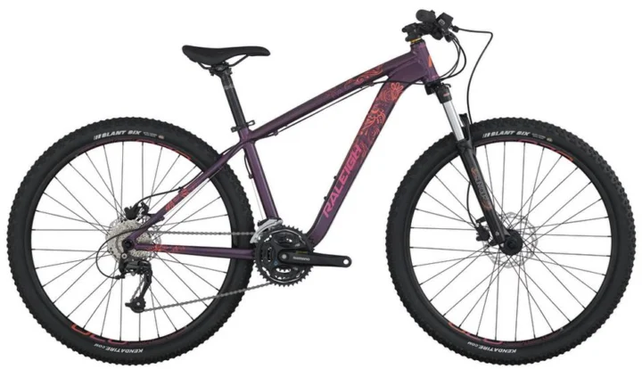 2014 Raleigh Eva 5.5
