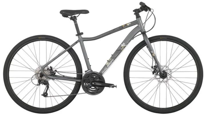 2014 Raleigh Mesika 1.0