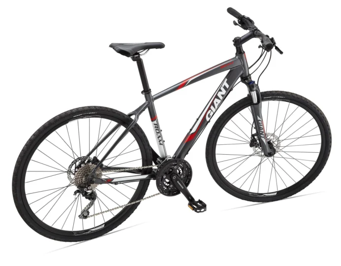 2015 Giant Roam 1