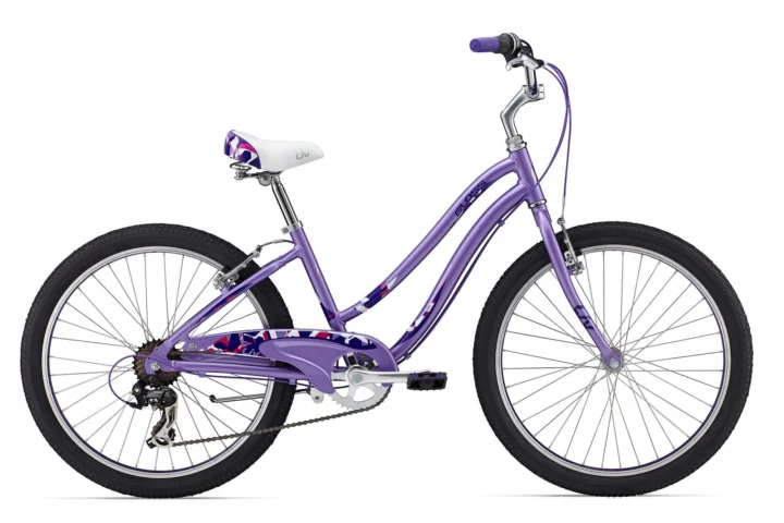 2015 Giant Gloss
