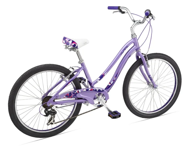 2015 Giant Gloss