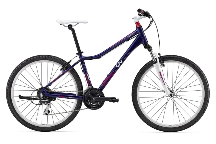 2015 Liv Enchant 1