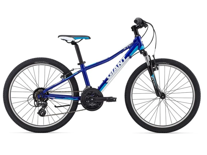 2015 Giant XTC Jr 24
