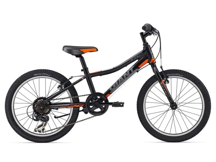 2015 Giant XTC Jr 20 Lite