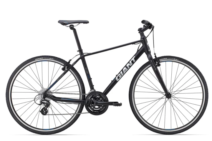 2015 Giant Escape 2