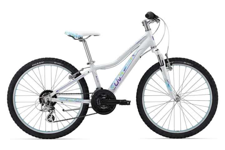 2015 Giant Areva 24