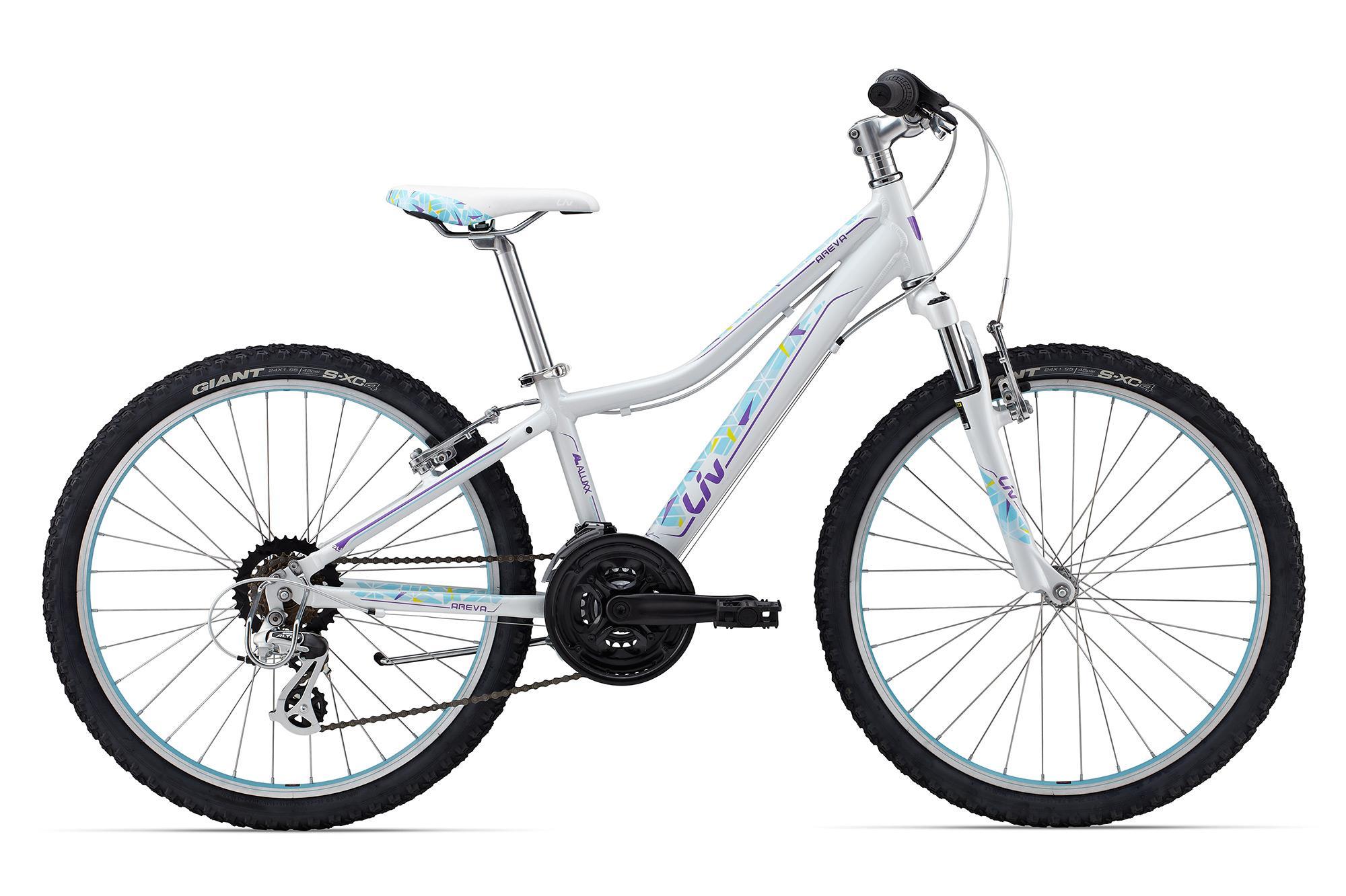 2015 Giant Areva 24
