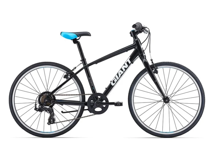 2016 Giant Escape Jr 24