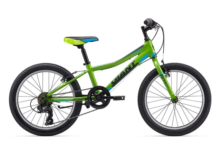 2017 Giant XtC Jr 20 Lite